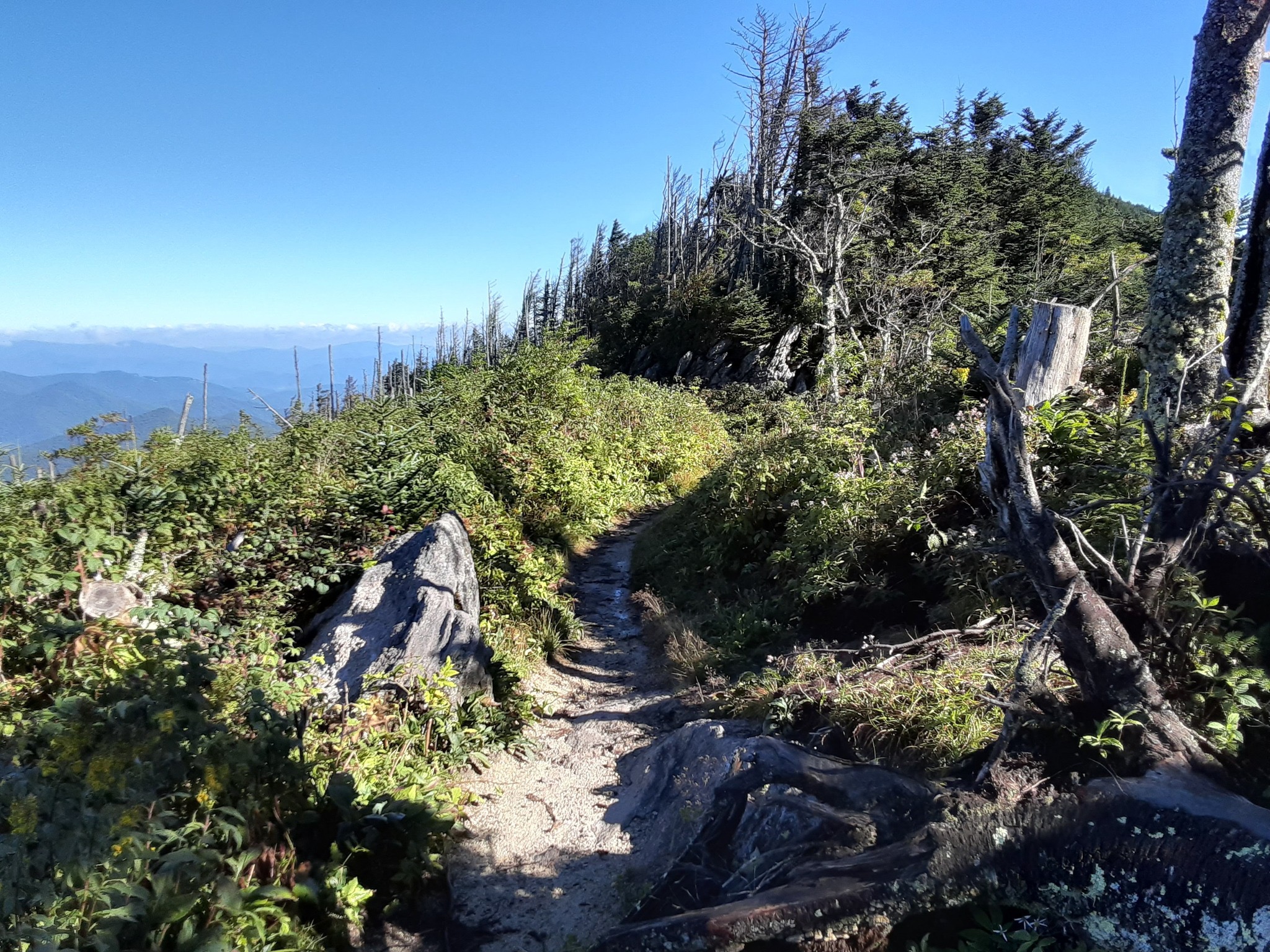 View from Mount Craig