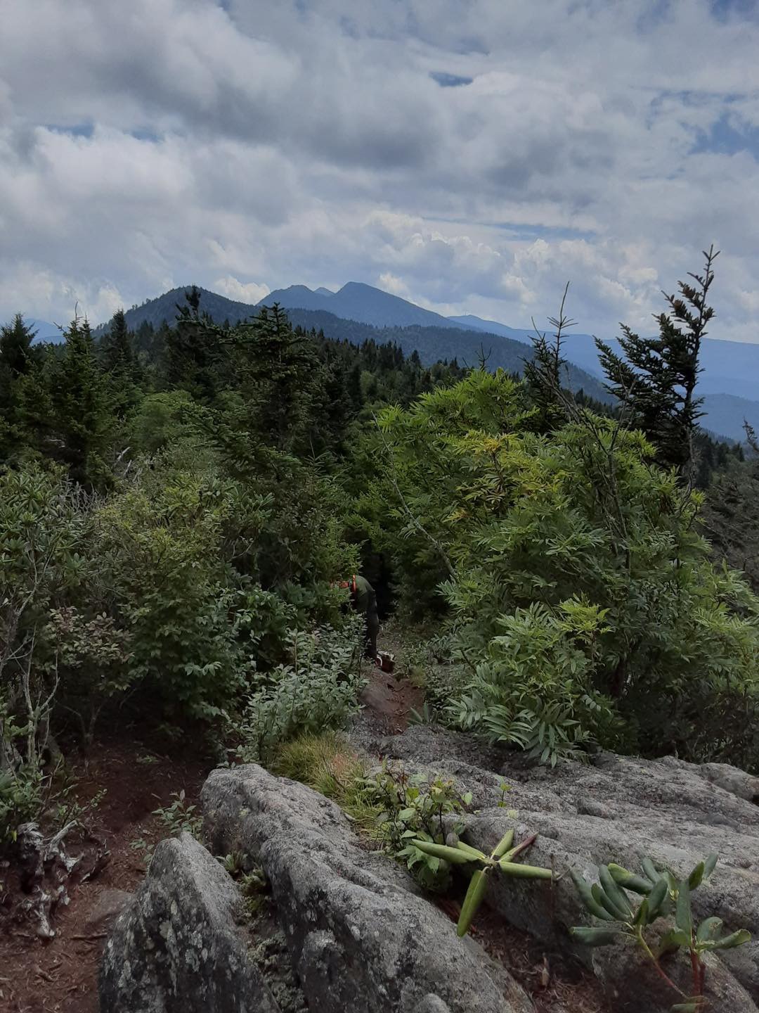 View from Crest Trail