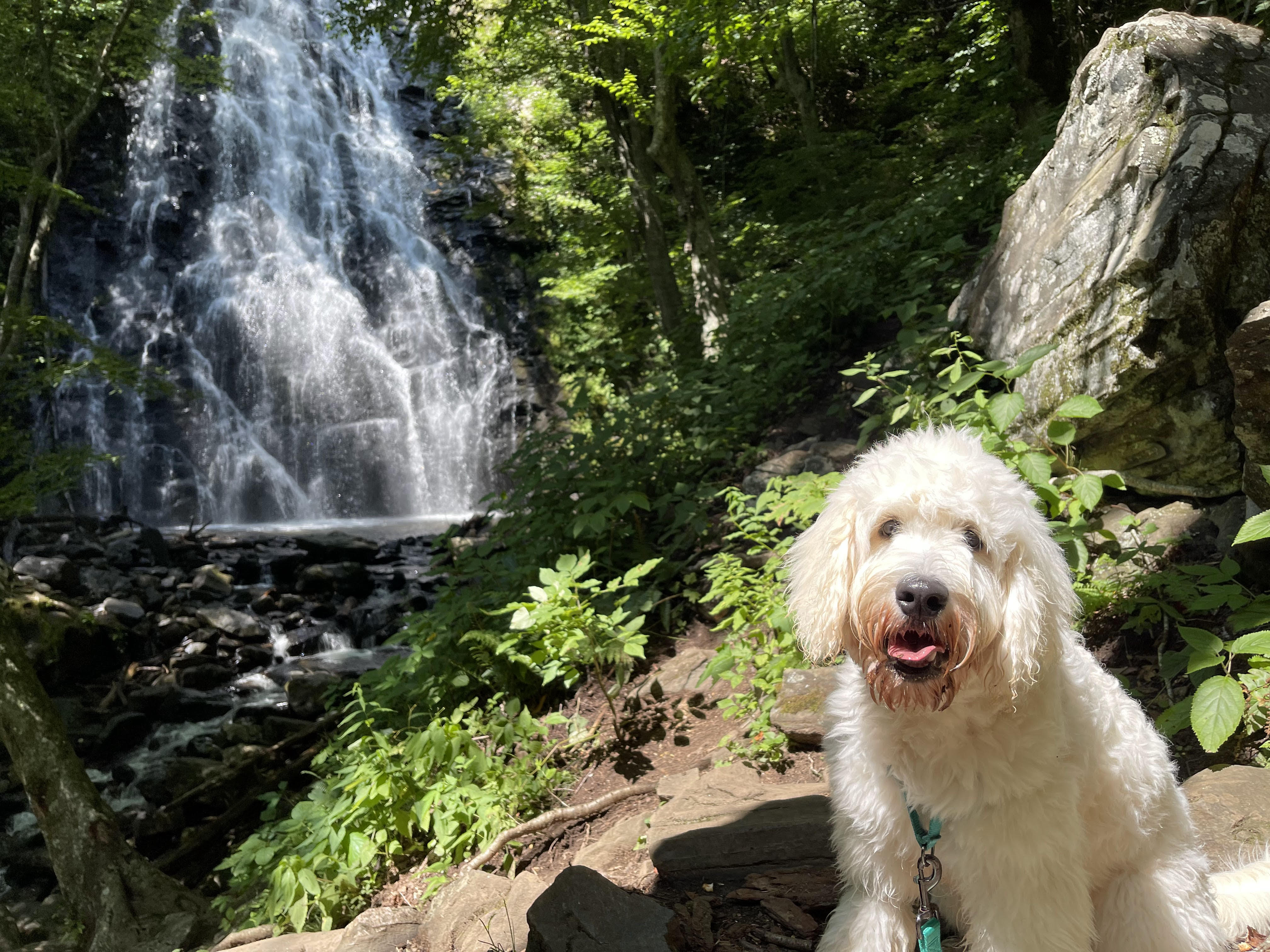 Crabtree Falls