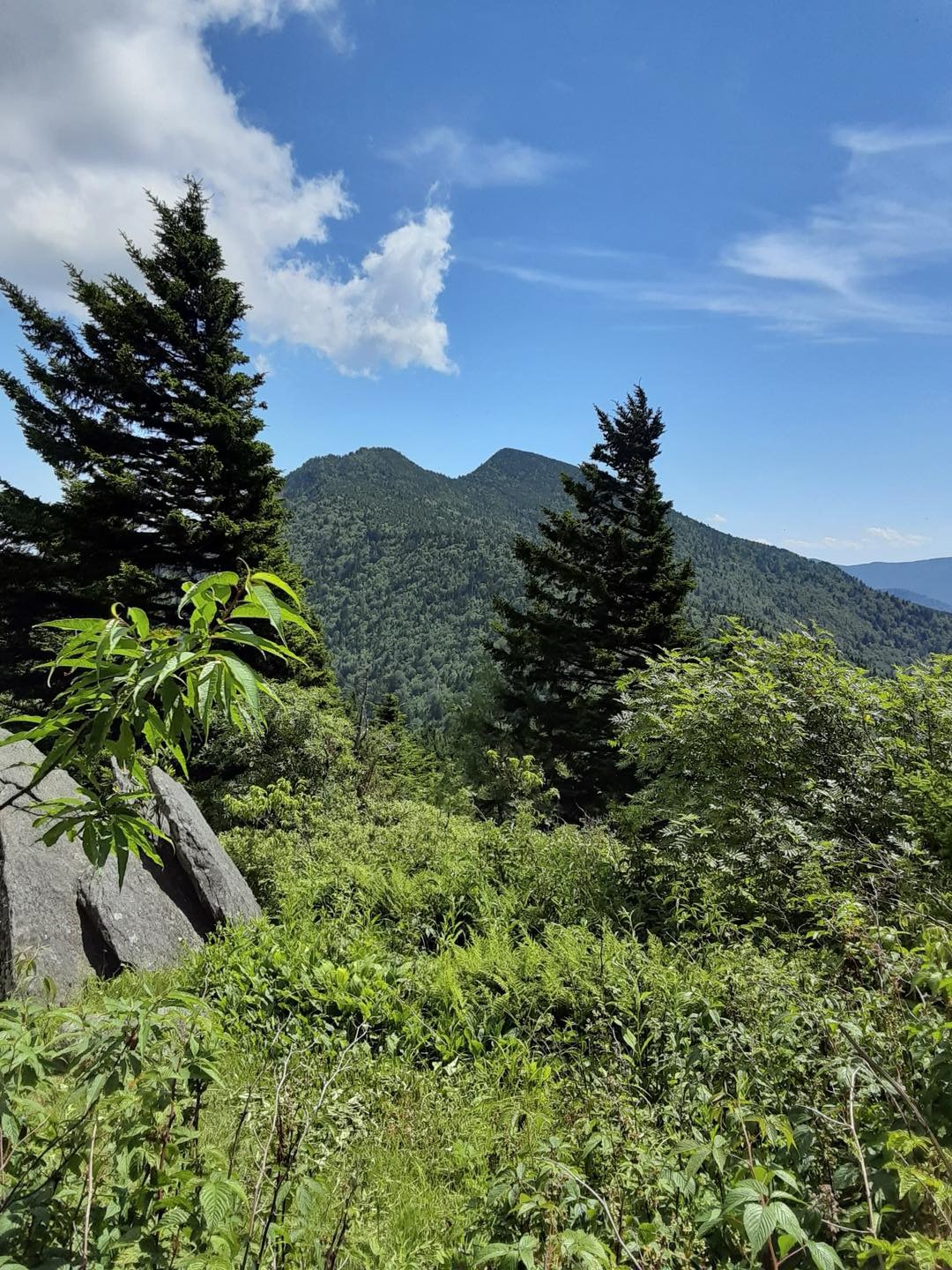 View from Crest Trail 