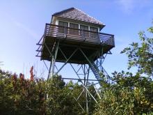 Green Knob Firetower