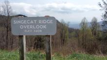 Singecat Overlook