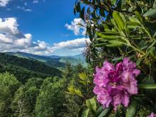 Summer view from near Isom mine